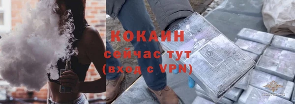 индика Абинск