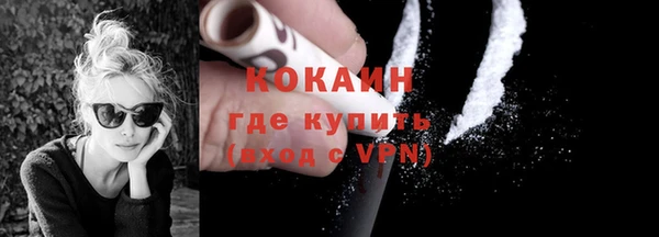 индика Абинск