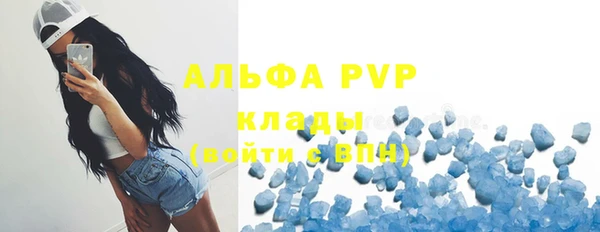 сатива Алексеевка