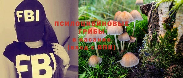 ALPHA PVP Алзамай