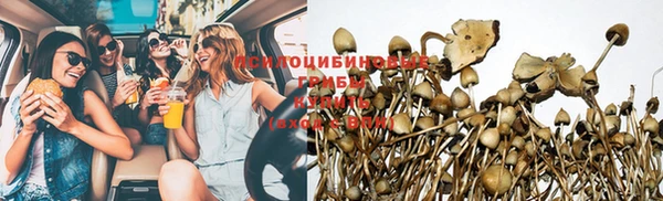 СК Абдулино