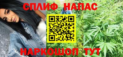 сатива Гай