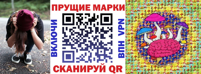 что такое наркотик  kraken сайт  Наркотические марки 1,8мг  Прохладный 