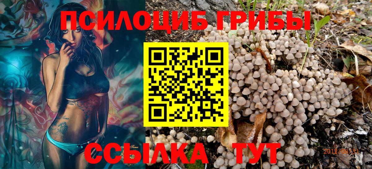 Псилоцибиновые грибы мицелий  Галлюциногенные грибы мицелий  Вход с VPN  где найти   Прохладный 