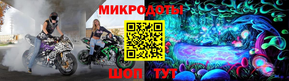 Галлюциногенные грибы Psilocybe Прохладный