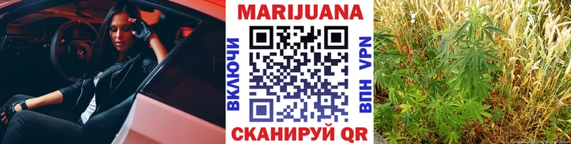 Каннабис гибрид Прохладный