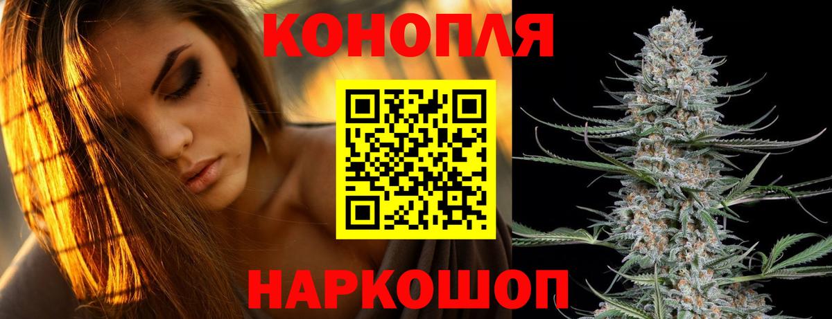 Марихуана ГИДРОПОН  Каннабис гибрид  Вход с VPN  Прохладный 